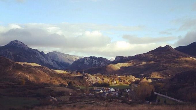 Bosque de eDilio Proyectos Arriba las Ramas