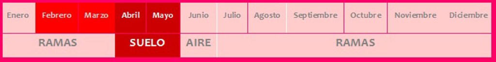 Tabla precaución perros procesionaria