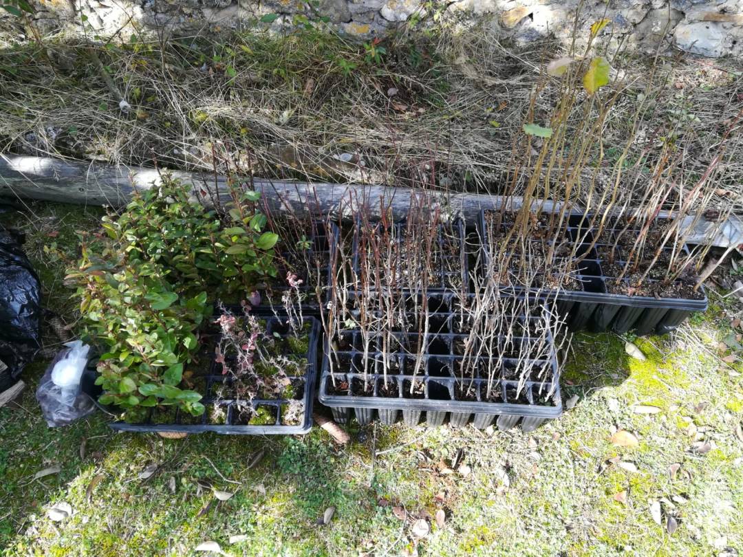 WhatsApp Image 2018-11-28 at 13.32.31 (1)